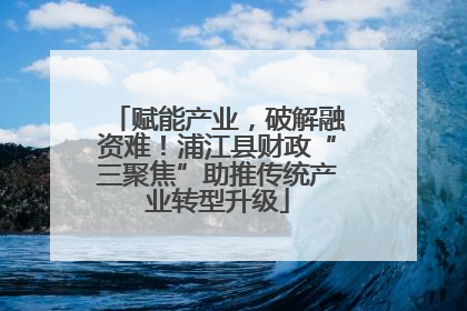 赋能产业，破解融资难！浦江县财政“三聚焦”助推传统产业转型升级